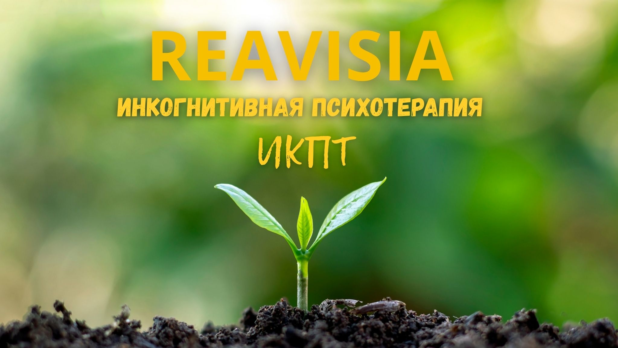 Инкогнитивная психотерапия (4)